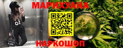 крисы Пыть-Ях