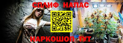 трава Пугачёв
