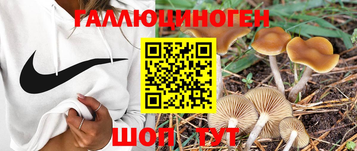 Галлюциногенные грибы Magic Shrooms  Вход с VPN  Новосибирск 